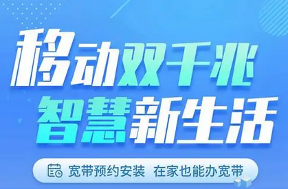2025年100M独享带宽价格与普通宽带网速全面解析