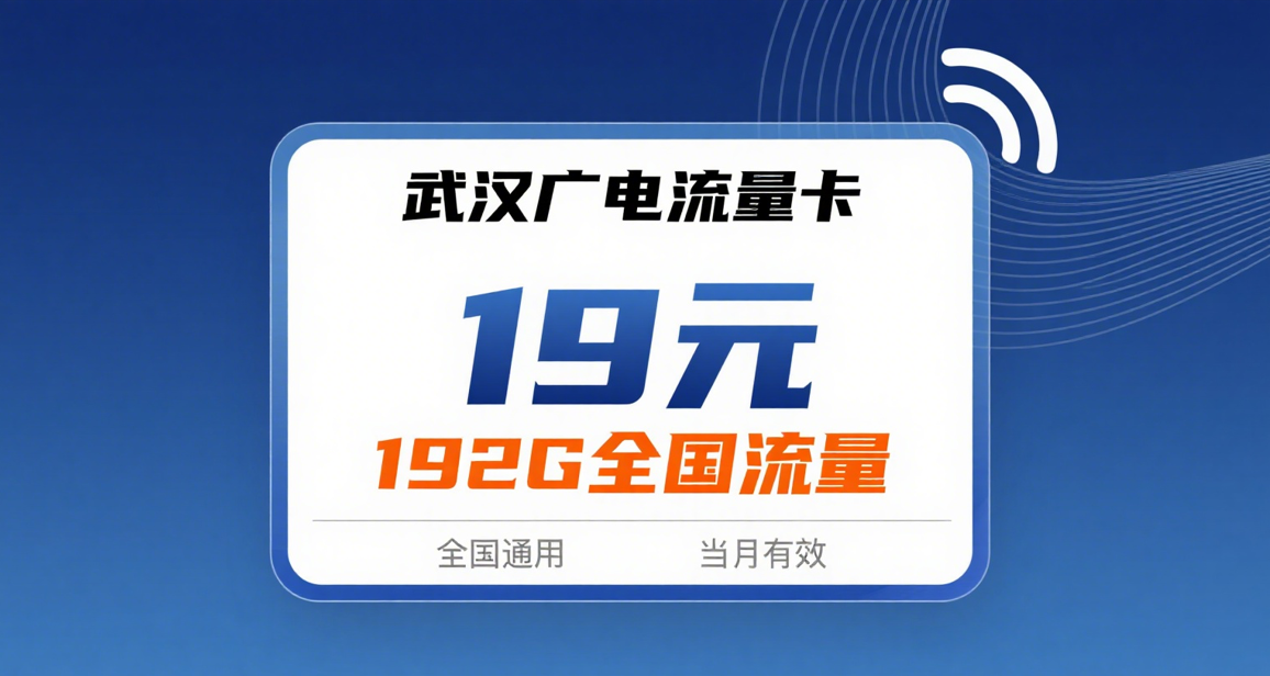 2025年8月武汉流量卡怎么选？四款热门套餐真实对比